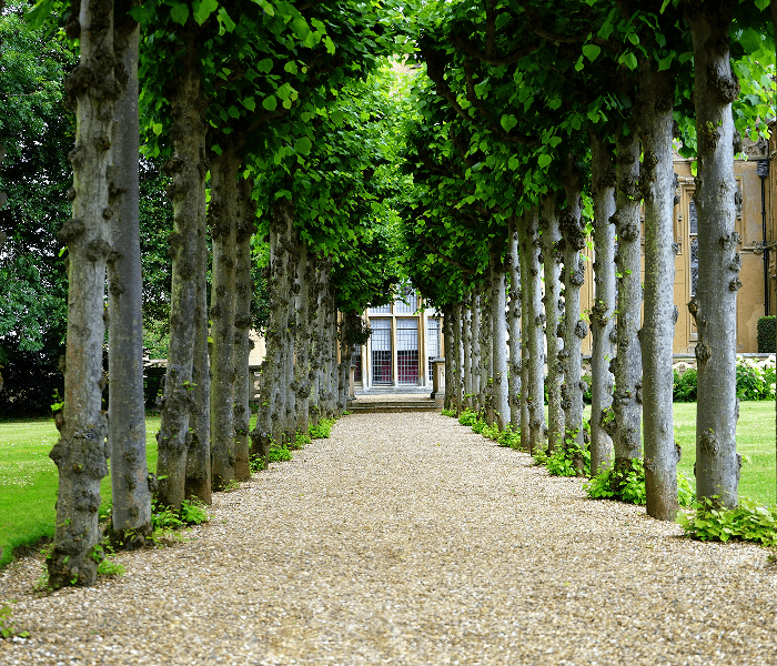 Coen + Partners website screenshot